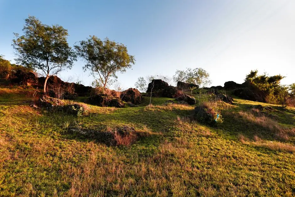 Pemandangan savana Bukit Merese menjelang senja, dengan perbukitan di latar belakang
